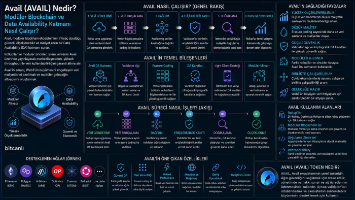 Avail (AVAIL) Nedir? Modüler Blockchain ve Data Availability Katmanı Nasıl Çalışır?