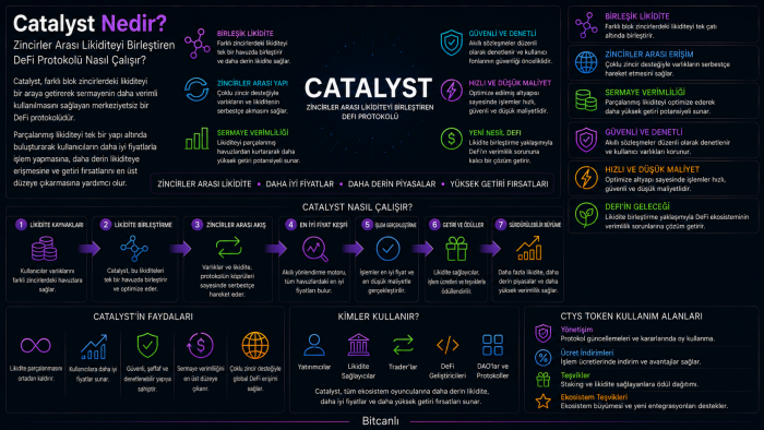 Catalyst Nedir? Zincirler Arası Likiditeyi Birleştiren DeFi Protokolü Nasıl Çalışır?